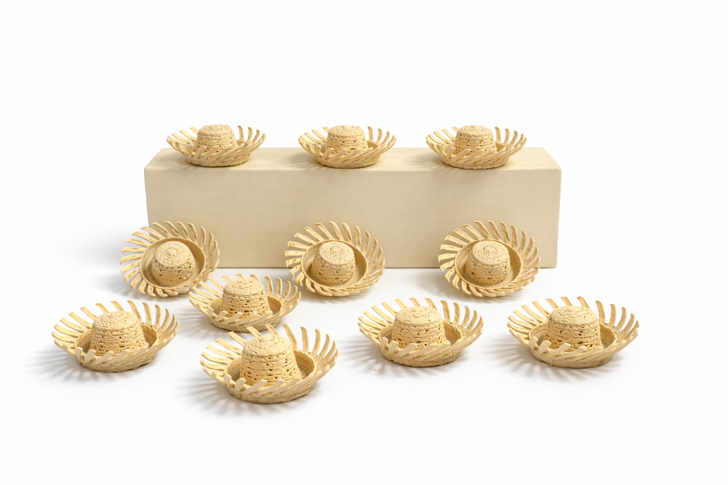Mini-Pavitas 3D