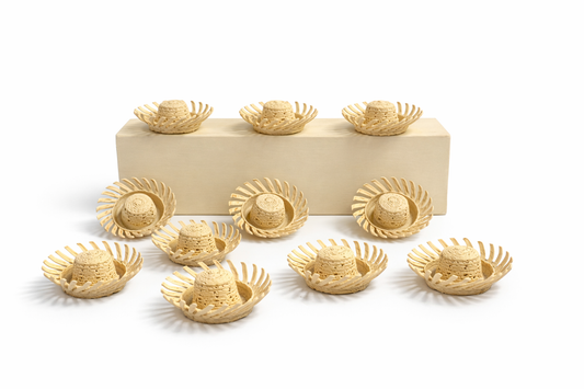Mini-Pavitas 3D