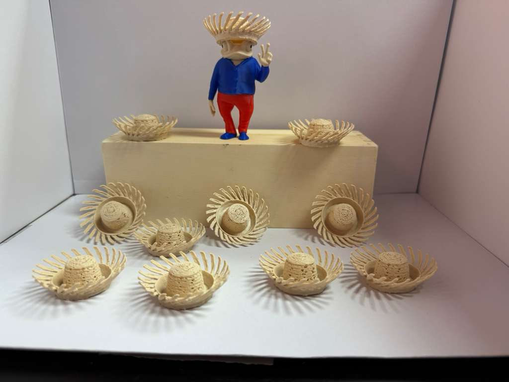 Mini-Pavitas 3D